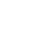 Tiny black starburst icon